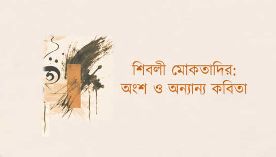 শিবলী মোকতাদির: অংশ ও অন্যান্য কবিতা